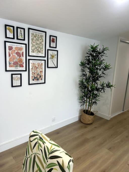 Cocon Chaleureux Au Coeur De Mirepoix Apartment เมียร์พัวซ์ ภายนอก รูปภาพ